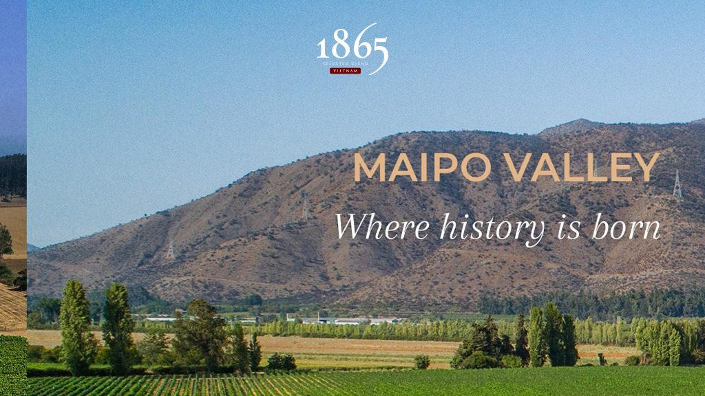 rượu vang 1865 - giống nho